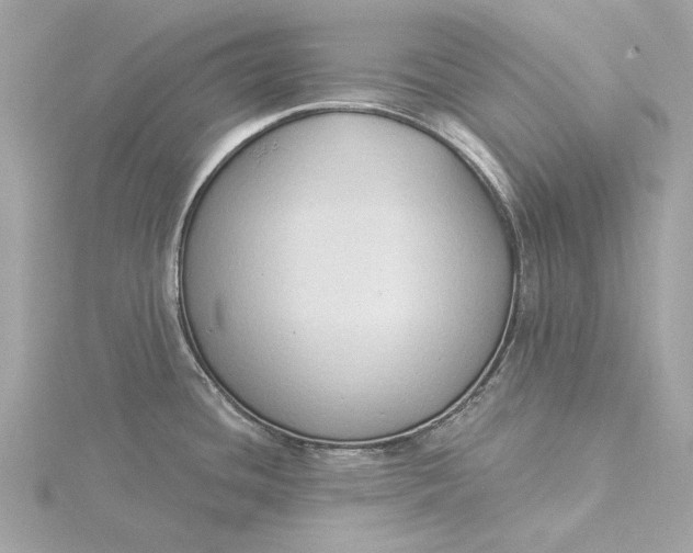 X0000116031436200912041926