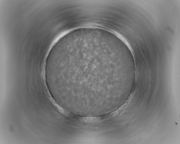 X0000116031437200912041926