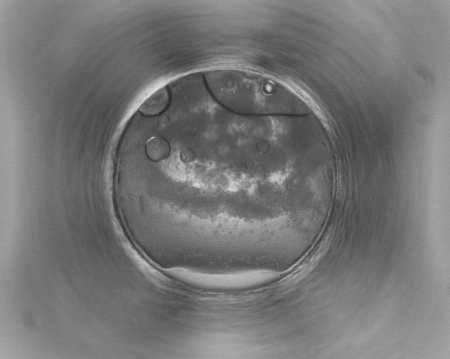 X0000116031438200912041926