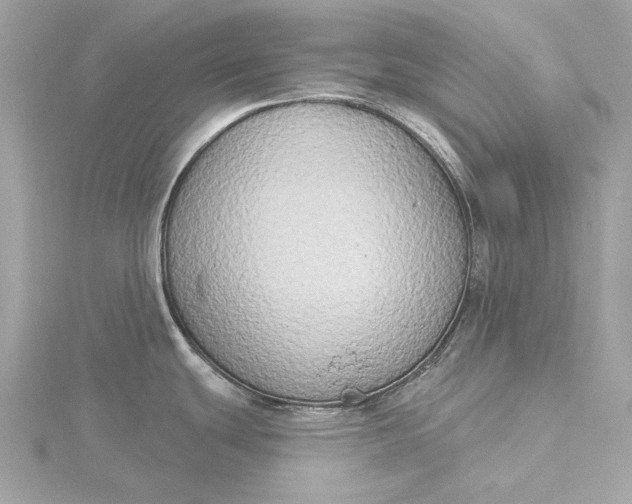 X0000116031439200912041926