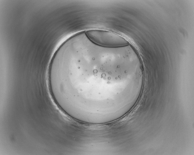 X0000116031440200912041926