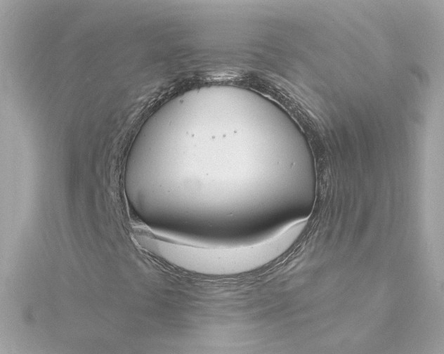 X0000116031441200912041925