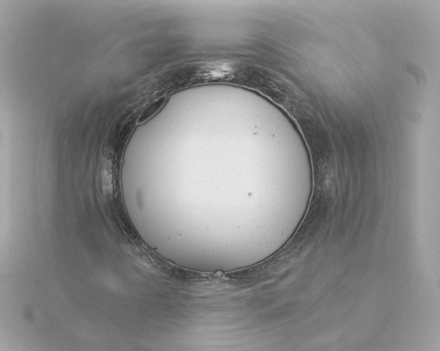 X0000116031442200912041925