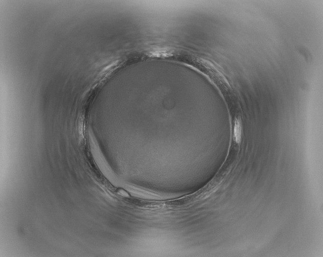 X0000116031444200912041925