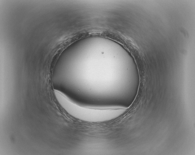 X0000116031445200912041925