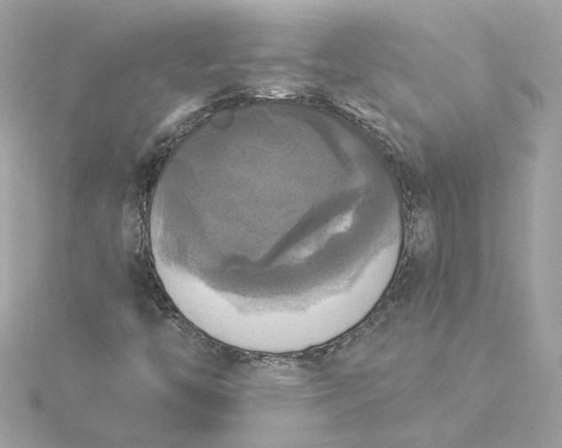 X0000116031446200912041925