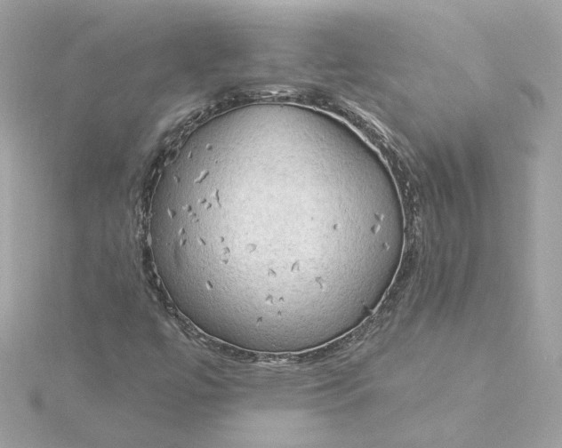 X0000116031447200912041925