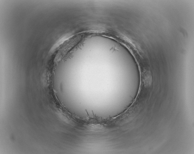 X0000116031448200912041925