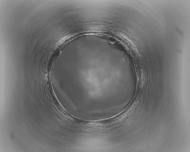 X0000116031449200912041925