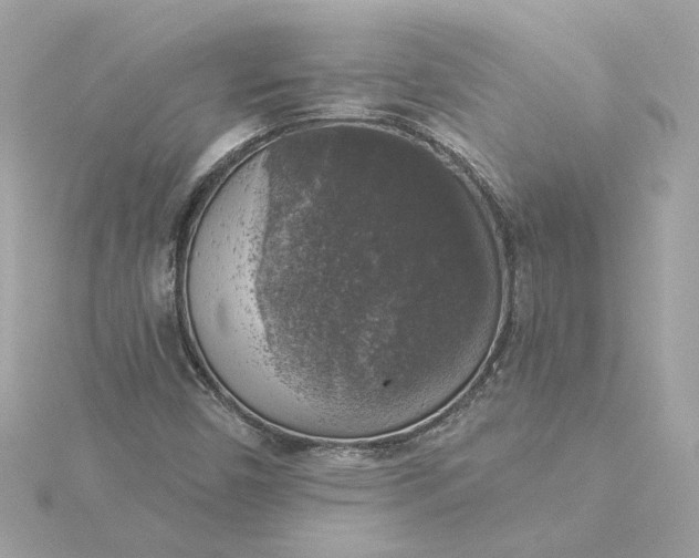 X0000116031450200912041925