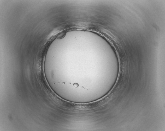 X0000116031451200912041925