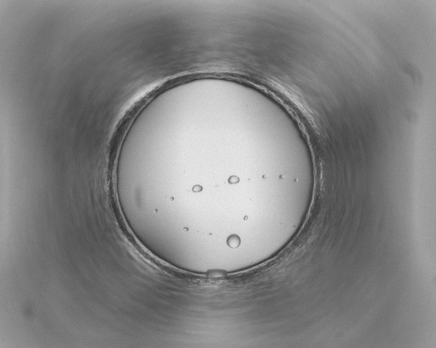 X0000116031452200912041925