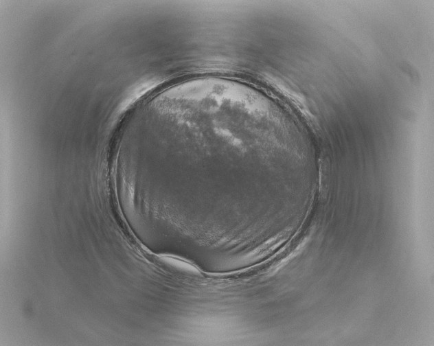 X0000116031453200912041925