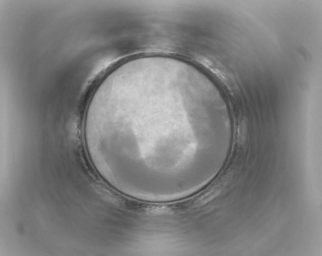 X0000116031454200912041925