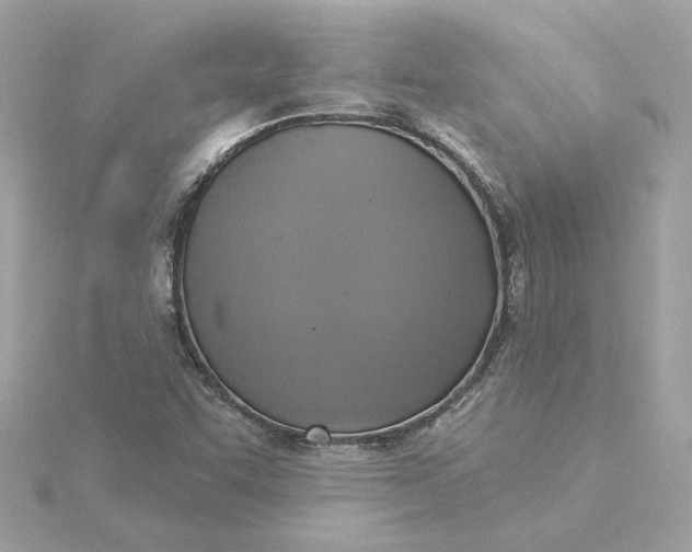 X0000116031455200912041925