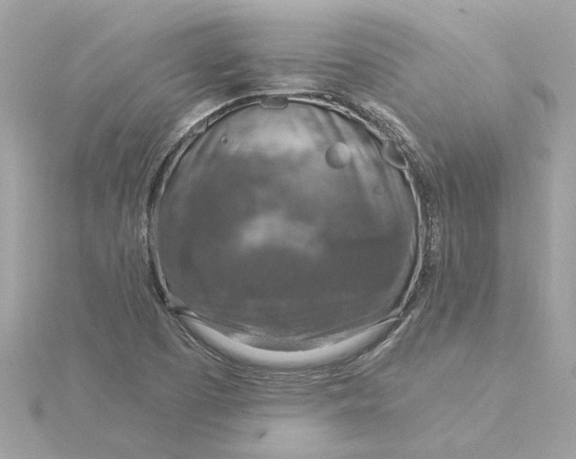 X0000116031457200912041925