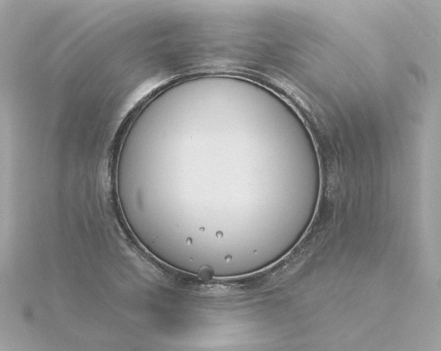 X0000116031458200912041925