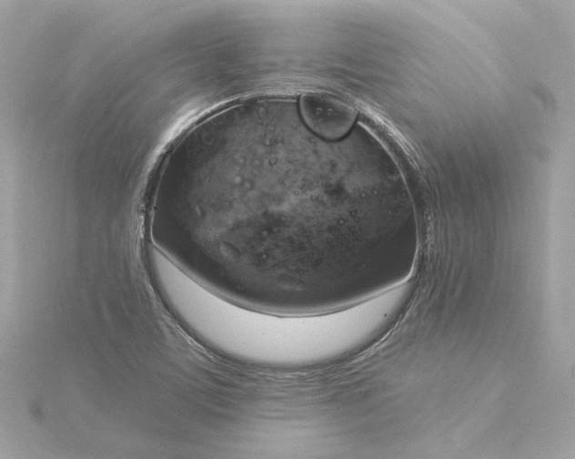 X0000116031459200912041925