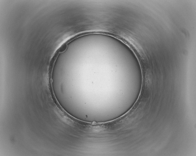 X0000116031460200912041925