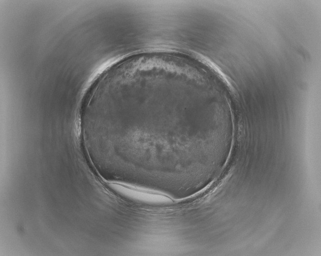 X0000116031461200912041925