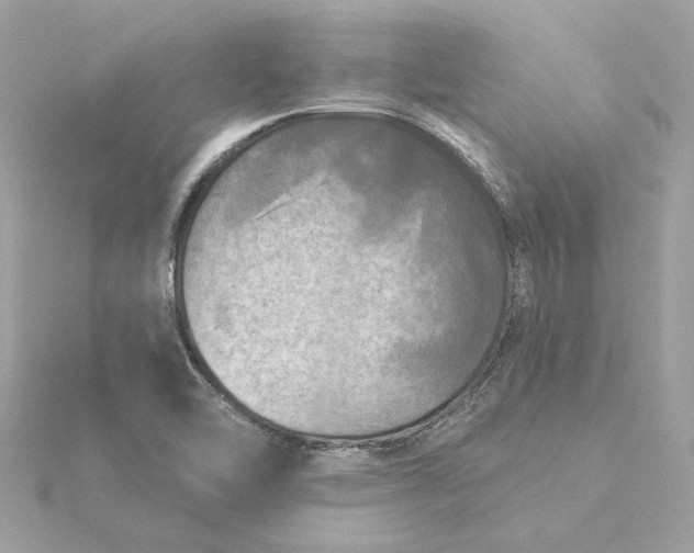 X0000116031462200912041925