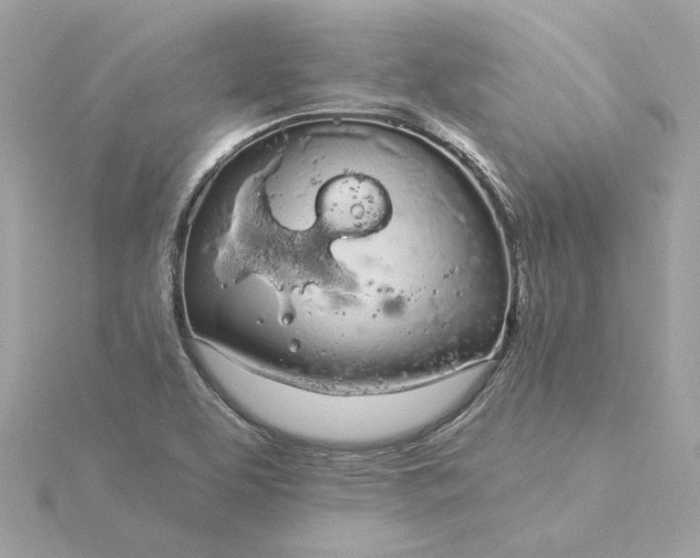 X0000116031463200912041925