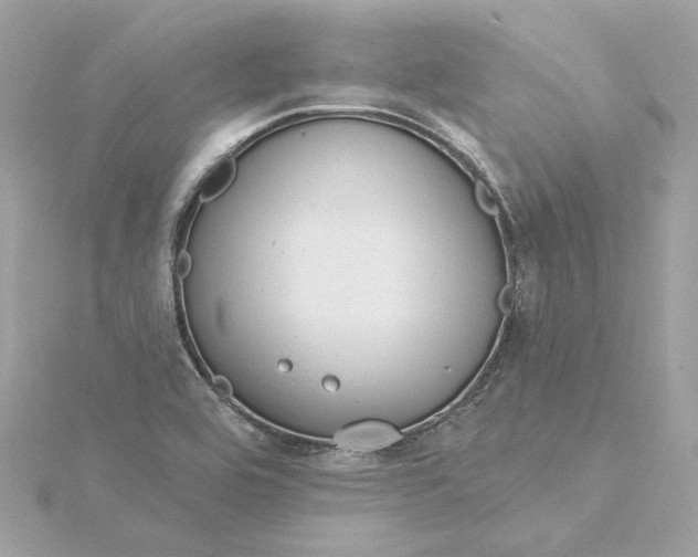 X0000116031464200912041925