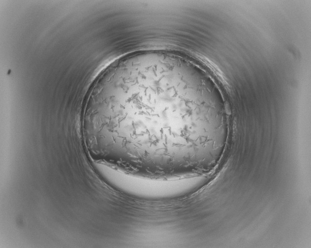 X0000116031465200912041925