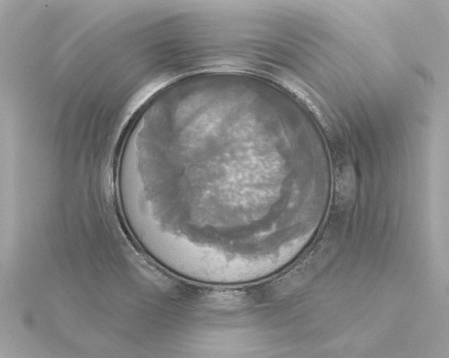 X0000116031466200912041925