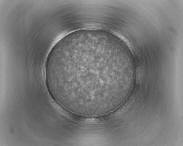 X0000116031467200912041925