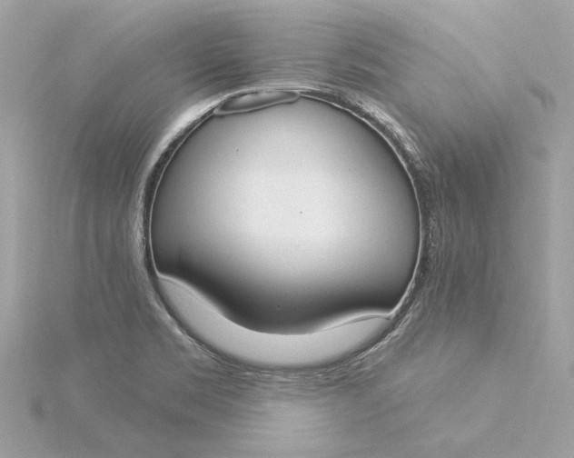 X0000116031469200912041925