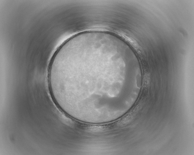 X0000116031470200912041925