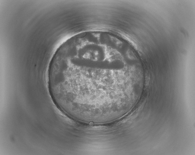 X0000116031471200912041925