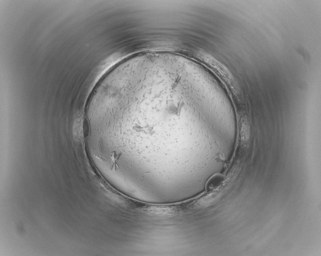 X0000116031473200912041925