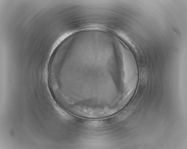 X0000116031474200912041925