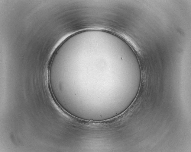 X0000116031476200912041925