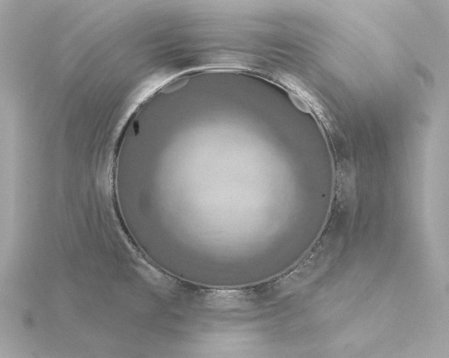 X0000116031477200912041925