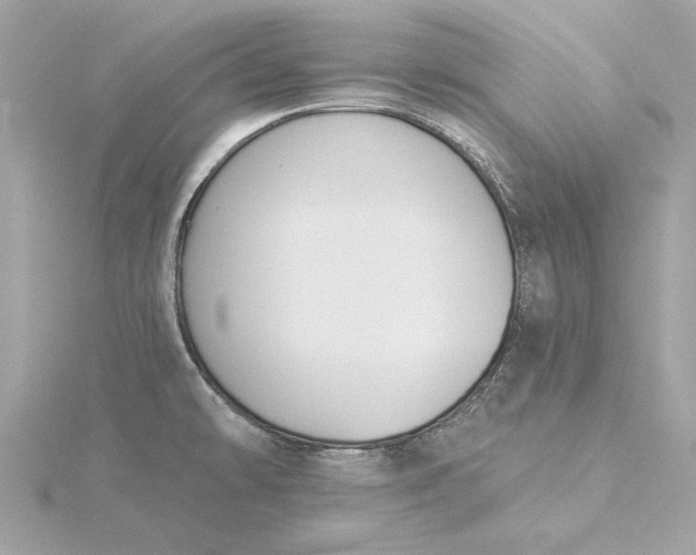 X0000116031478200912041925