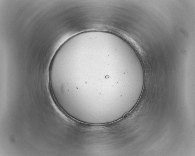 X0000116031479200912041924