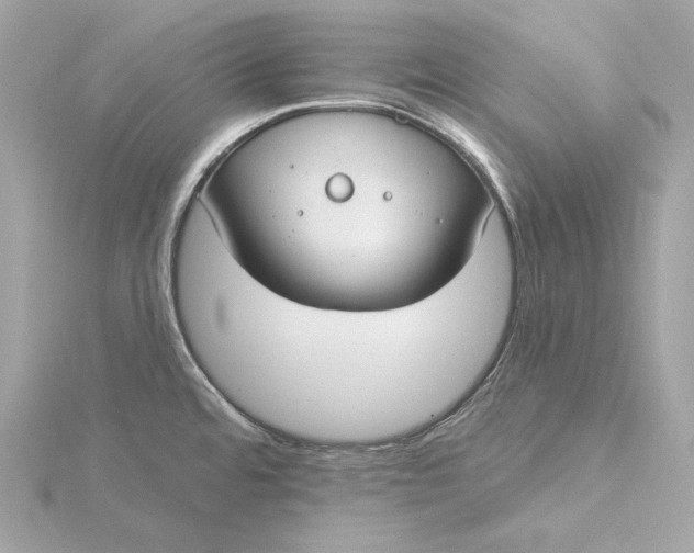 X0000116031480200912041924