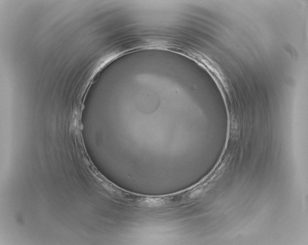 X0000116031481200912041924