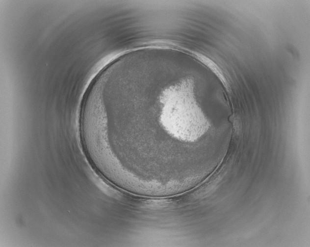 X0000116031482200912041924