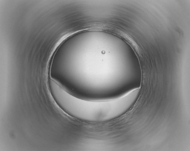 X0000116031483200912041924