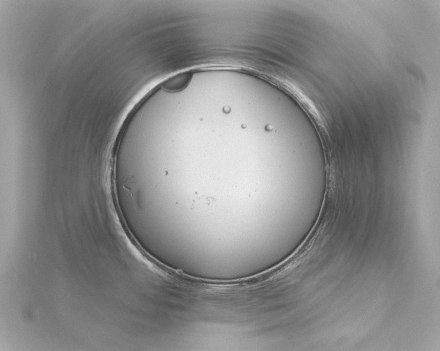 X0000116031484200912041924