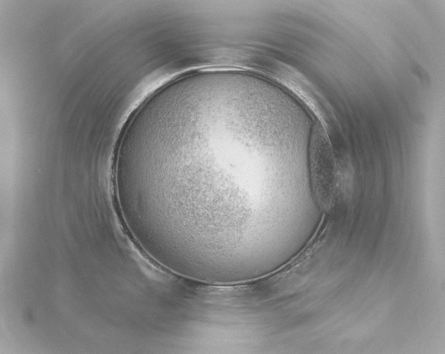 X0000116031485200912041924