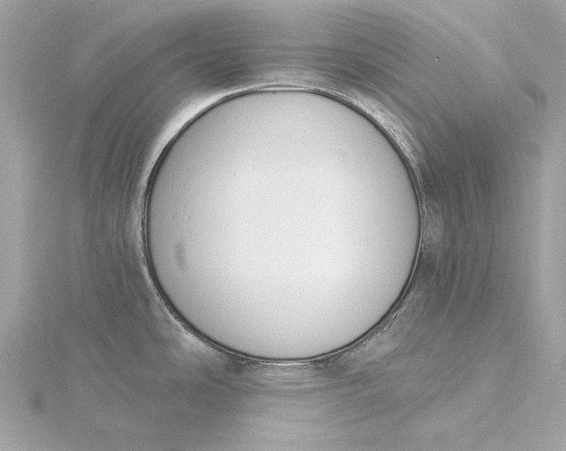 X0000116031486200912041924