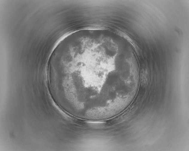 X0000116031487200912041924