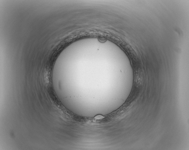 X0000116031490200912041924