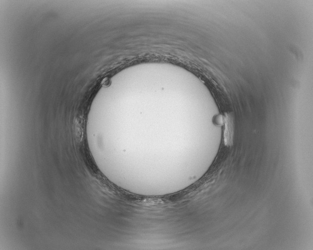 X0000116031491200912041924