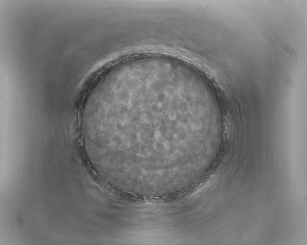 X0000116031494200912041924